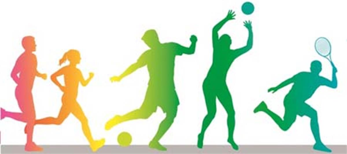 Physical Education (P.E)